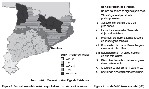 Activitat 10